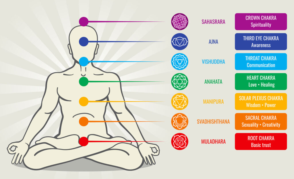 seven chakras